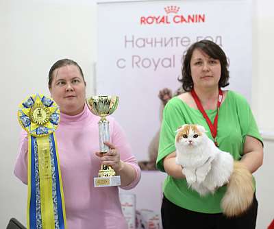   '--' 11-12  2015  3-156-169A5606 copy.jpg